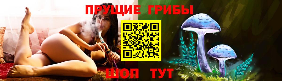 Псилоцибиновые грибы мицелий Дальнегорск