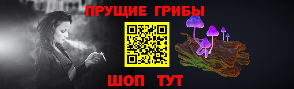 Псилоцибиновые грибы GOLDEN TEACHER  Галлюциногенные грибы GOLDEN TEACHER  Вход с VPN  Дальнегорск 